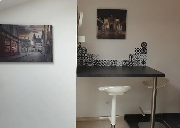 Apartamento Joli Calme Coeur De Nancy